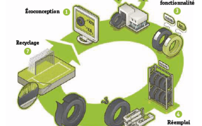 L’économie circulaire, avenir de l’industrie (livre : “Les Temps changent” chapitre “La Durabilité comme Stratégie économique” partie 6)