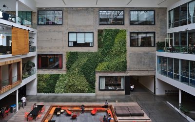 De quoi Airbnb et Uber sont-ils le nom ?
