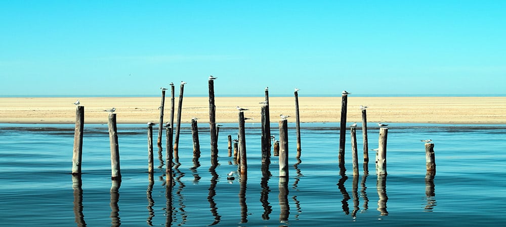 Géopolitique de l’eau : conflits ou coopérations ?