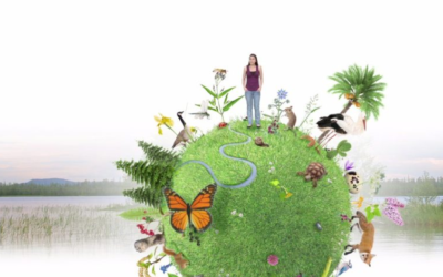 Biodiversité en Wallonie : un état des lieux