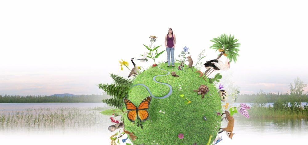 Biodiversité en Wallonie : un état des lieux