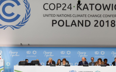 Climat : ce que disent les experts pour la Wallonie et la Belgique