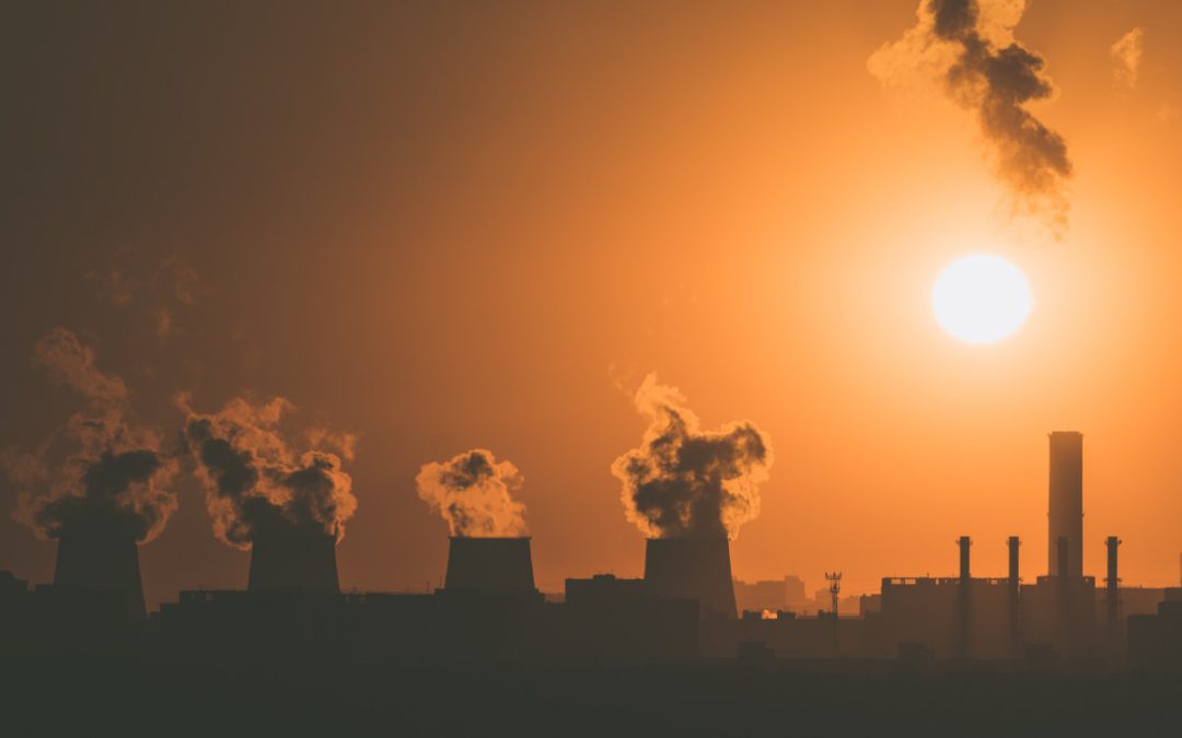 Cessons l’environnementalisme. Faisons de l’écologie !