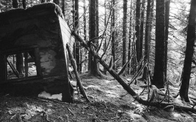 Entre sidération et déni des crises écologiques : et si les théories catastrophistes étaient mobilisatrices ?