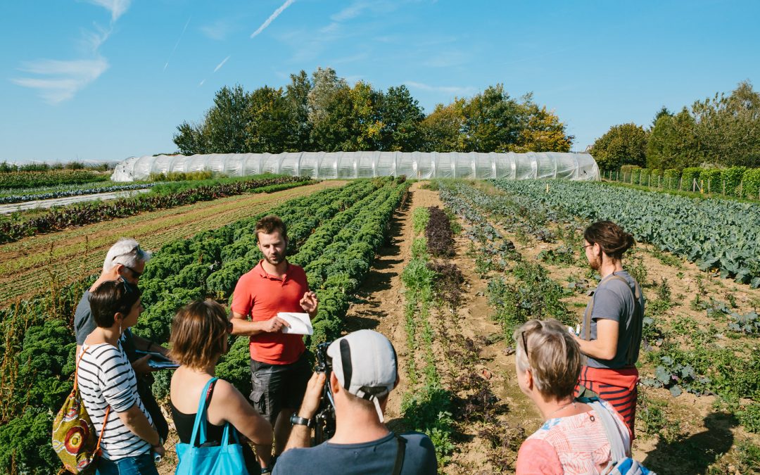 Colloque : « joindre les deux bouts de la ceinture alimentaire »