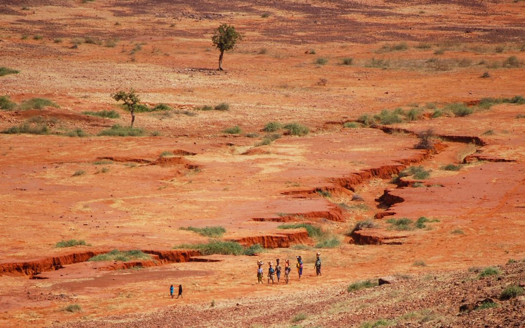 L’implication belge au Sahel, au carrefour de la sécurité et de la coopération
