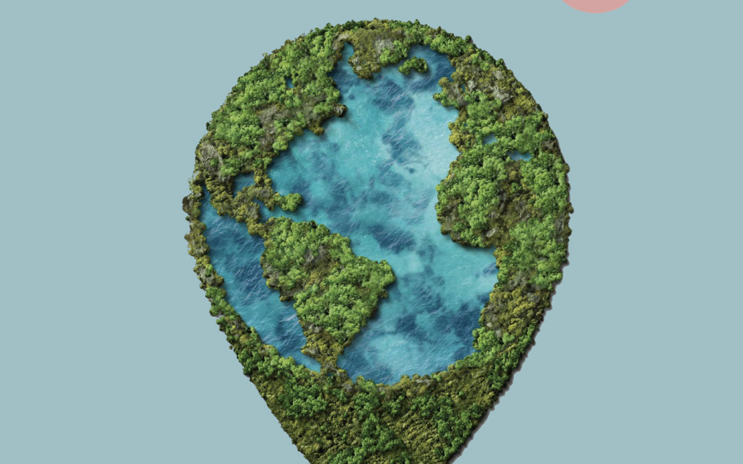 Revue 16 | Vers quelle transition juste et solidaire ?