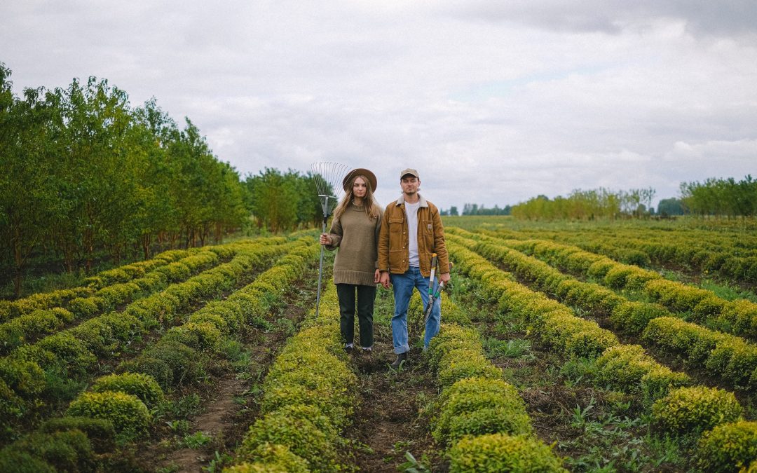 Des emplois pour/par la transition écologique