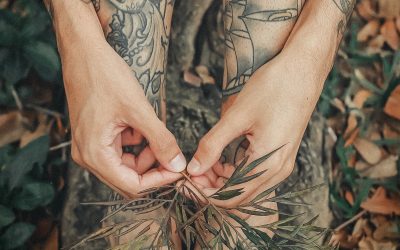 « L’écologie politique féministe » : une approche anglosaxonne inspirante