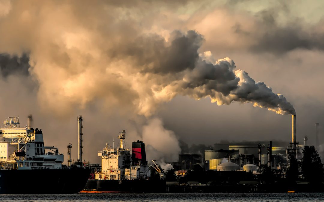 Il nous faut plus d’écologie