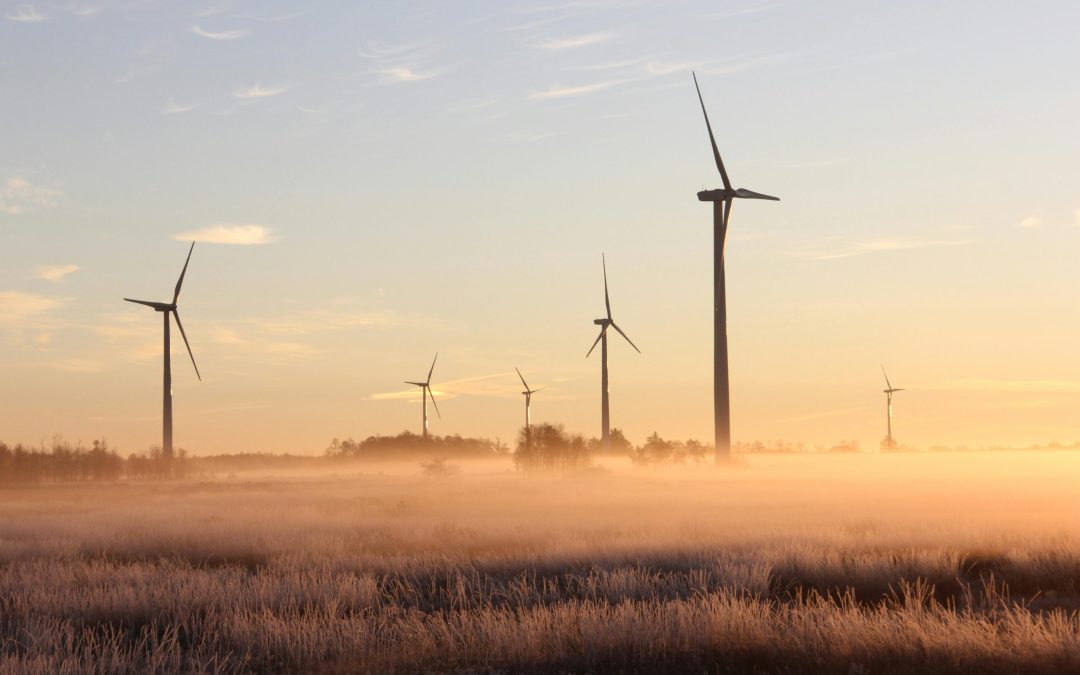 Faire de l’Europe une puissance écologique
