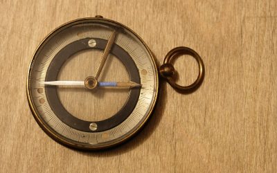 Face aux nouvelles menaces, comment (re)penser la paix et la sécurité sous un angle de vue écologiste ?